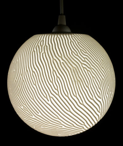 nervous system: reaction