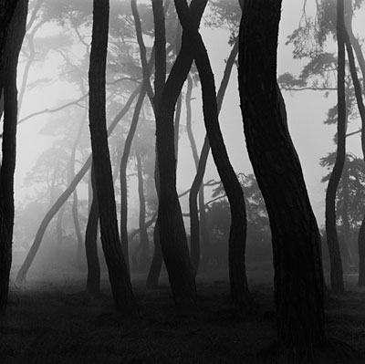 bae, bien u at galerie zur stockeregg, zurich