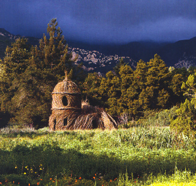 designboom contemporary: natural architecture