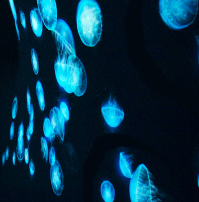 canon: neoreal at milan design week 09