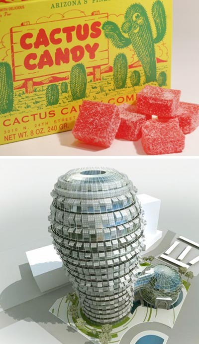 cactus design scenario