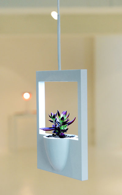 polaroid flower vase by jung hwa   jin