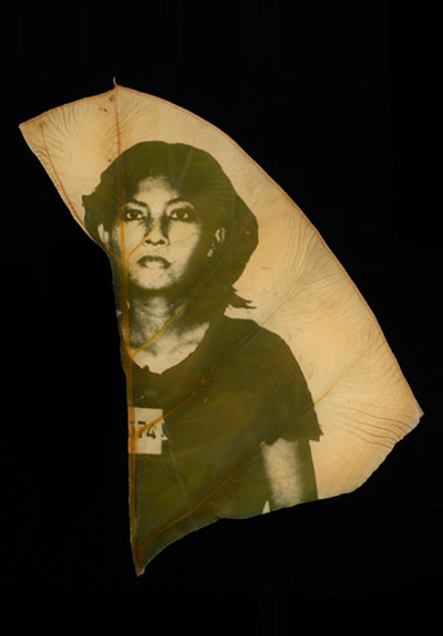 binh danh: chlorophyll printed photographs