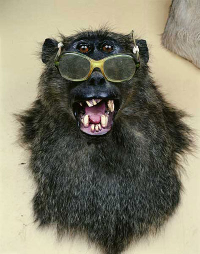 an urban history of photography exhibition