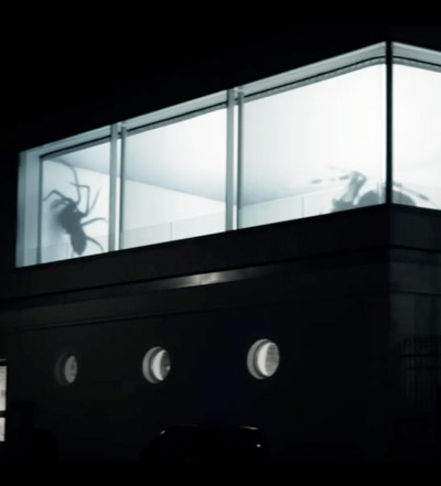 spider projection: 3 D video mapping by friedrich van schoor