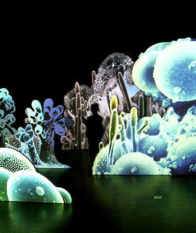 sonic voices exhibition at netherlands media art institute