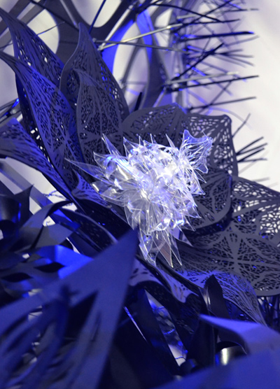 gabriel esquivel + david hernandez m: black narcissus