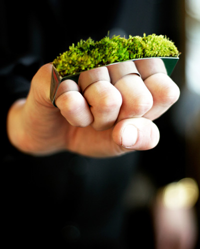 'growing jewelry' collection  by hafsteinn juliusson