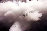 tokujin yoshioka window installation for hermes