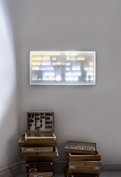 humans since 1982: collection of light