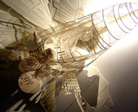 bartlett summer show