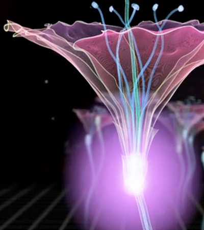 futuristic flowers for panasonic hollywood labs by macoto murayama