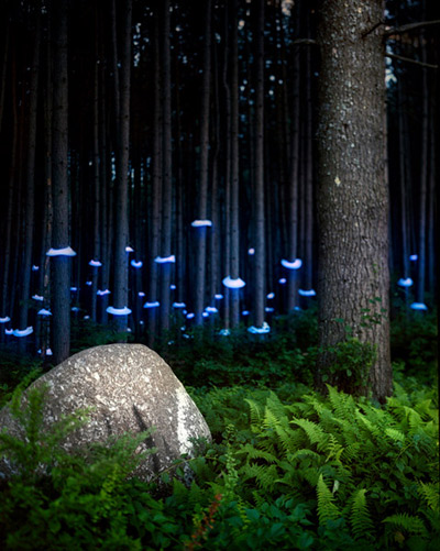 landscape light sculptures by barry underwood