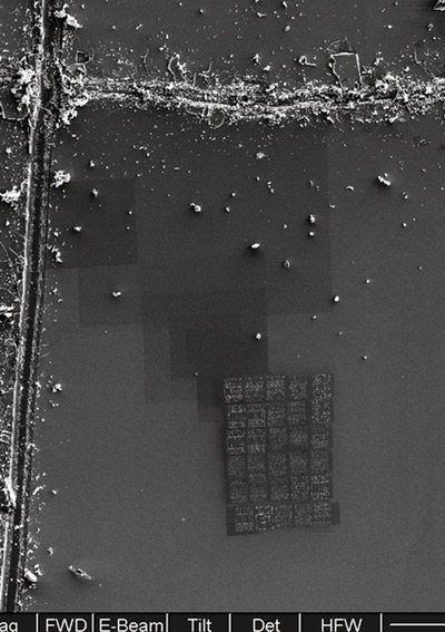 world's smallest book measures 70 micrometers