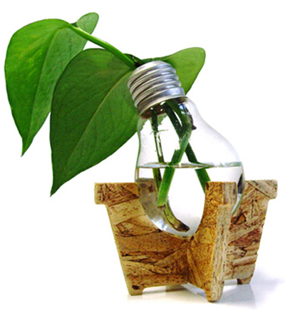 inhabitat's spring greening competition