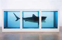 damien hirst interview