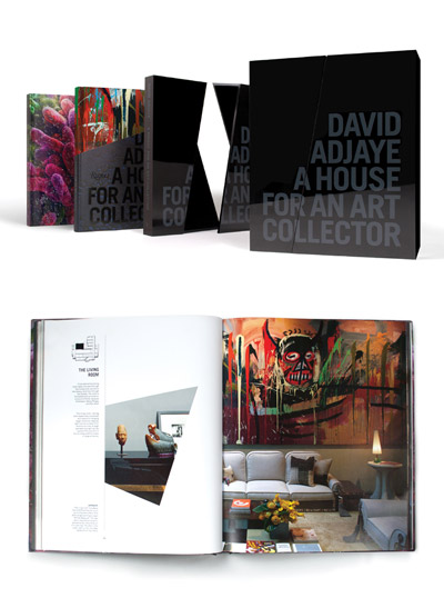 david adjaye: a house for an art collector