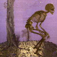 db snapshots: venice art biennial 2007