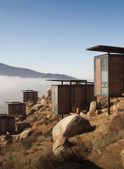 gracia studio: endemico resguardo silvestre