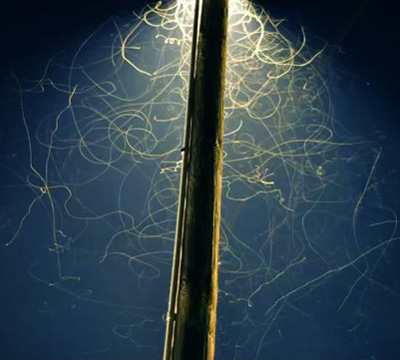 charlie mccarthy: flight patterns