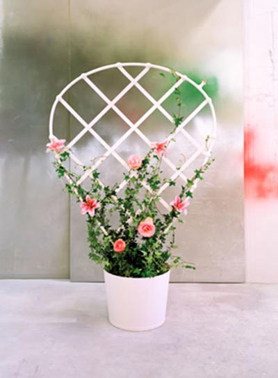 giant flower pot by TAF