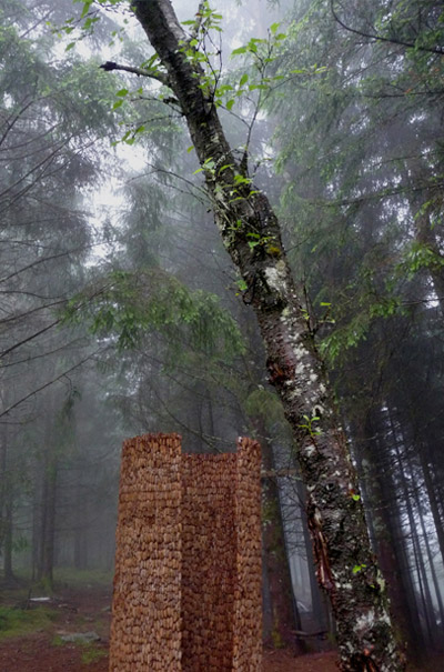 x studio: inner forest pine cone landscape pavilion