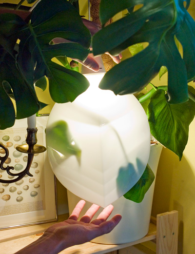 formafantasma: light species for booo!