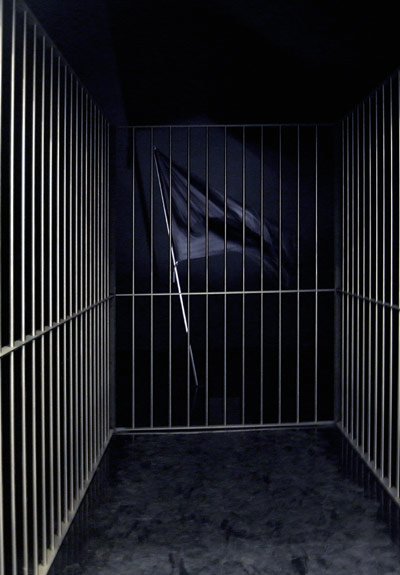 claude leveque: french pavilion at venice art biennale 09