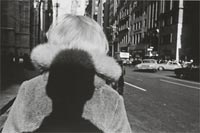 lee friedlander's photography