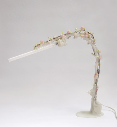 wieki somers: frozen in time