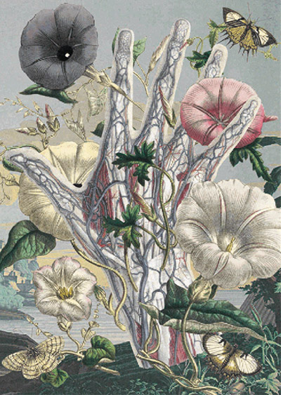 juan gatti: the natural sciences