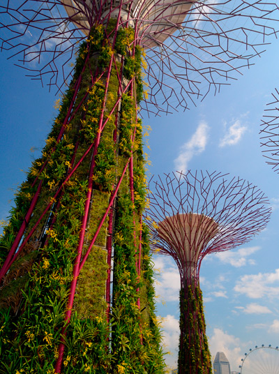 grant associates: bay south   gardens by the bay