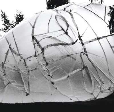 anca trandafi rescu: hot air monument