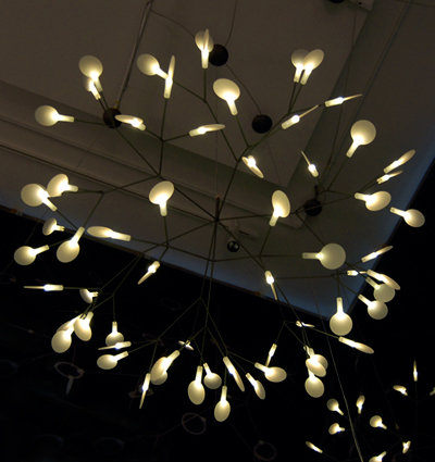 bertjan pot: heracleum for moooi