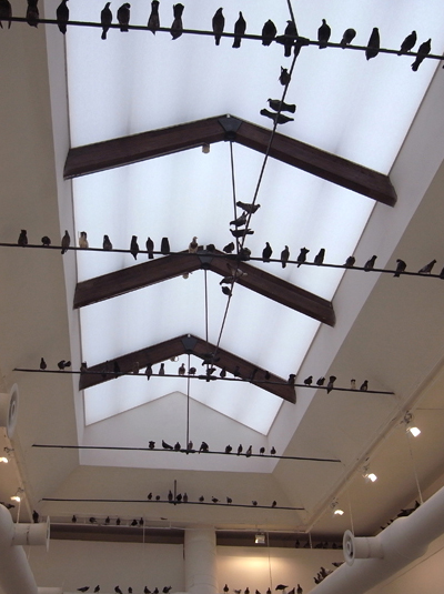 maurizio cattelan at venice art biennale 2011 : the others