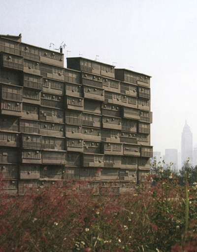 eric schuldenfrei and marisa yiu: instant culture