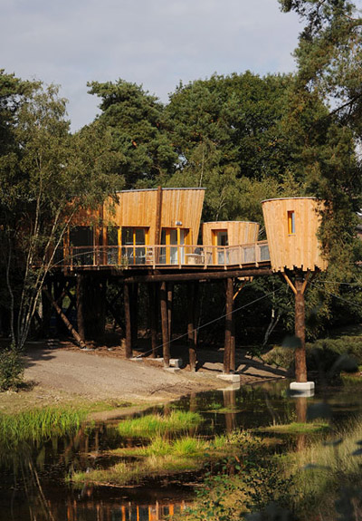 renaud morel and dans mon arbe: kaban