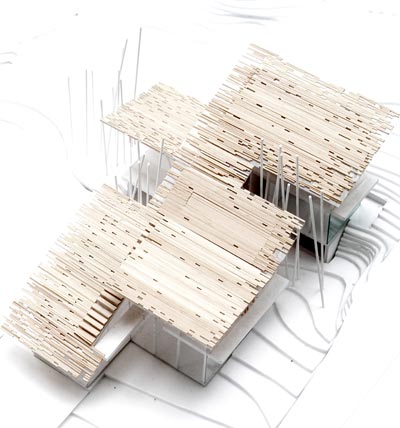 venice architecture biennale 08: next gene 20   kengo kuma