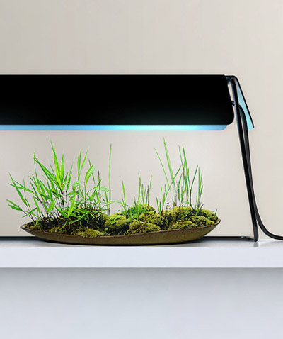 florent coirier: kusamono