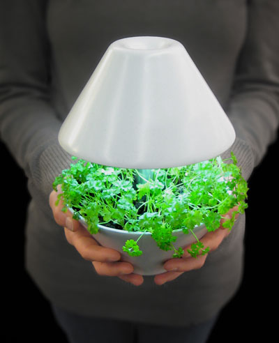 studio shulab: 'lightpot'