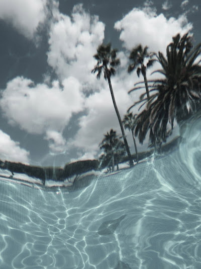 photos taken from under the water's surface by laurel johannesson