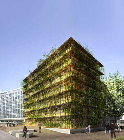 group8: environment house