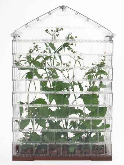 sebastian bergne: LEGO greenhouse