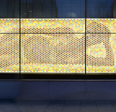 julia lohmann: 'co existence'