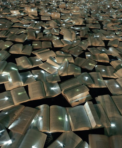 luzinterruptus: literature versus traffic