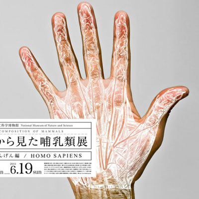 wataru yoshida: composition of mammals