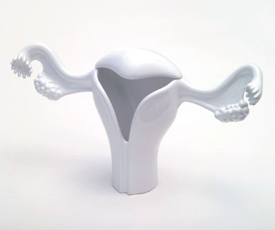 defact studio and the plug at the white hotel belgium