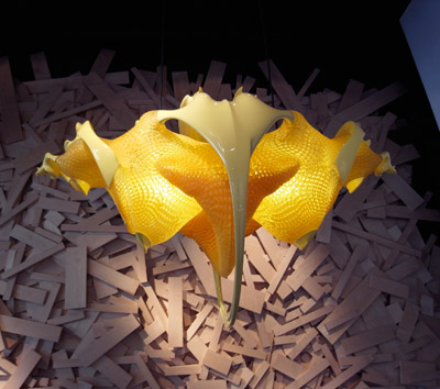 MGX evolution collection at moss, new york