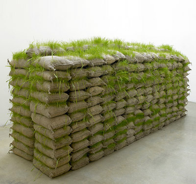 'hanging garden' by mona hatoum