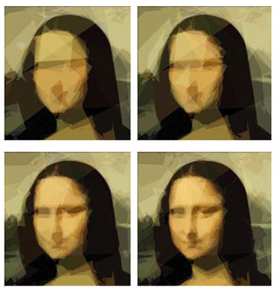 genetic programming: evolution of mona lisa